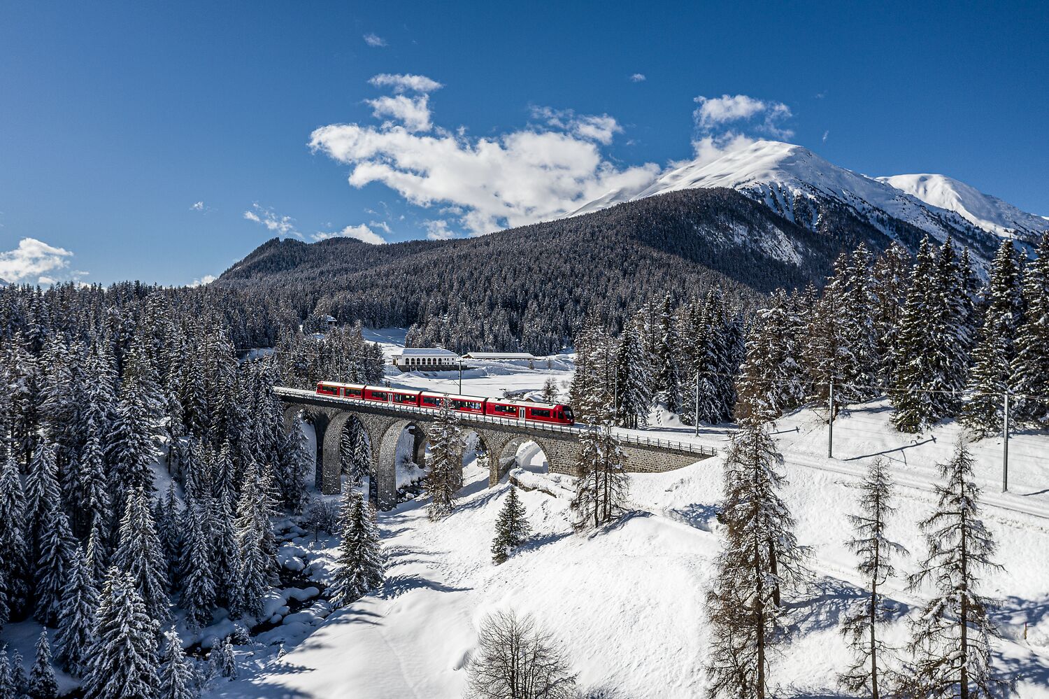 Natale in Rifugio con il Trenino Rosso