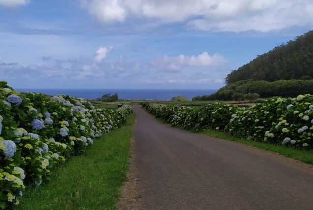 Capodanno a Sao Miguel