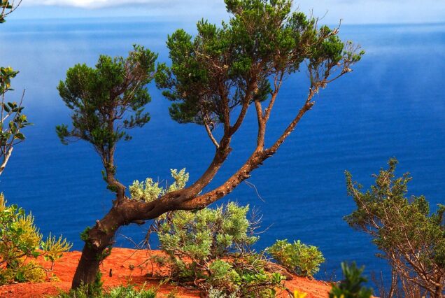 La Gomera un'isola da scoprire