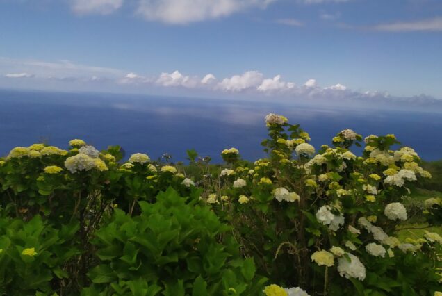 Capodanno con volo diretto a Sao Miguel