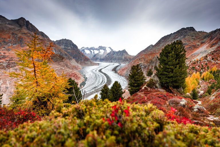 Foliage in Italia e Svizzera: itinerari autunnali mozzafiato tra montagne e laghi