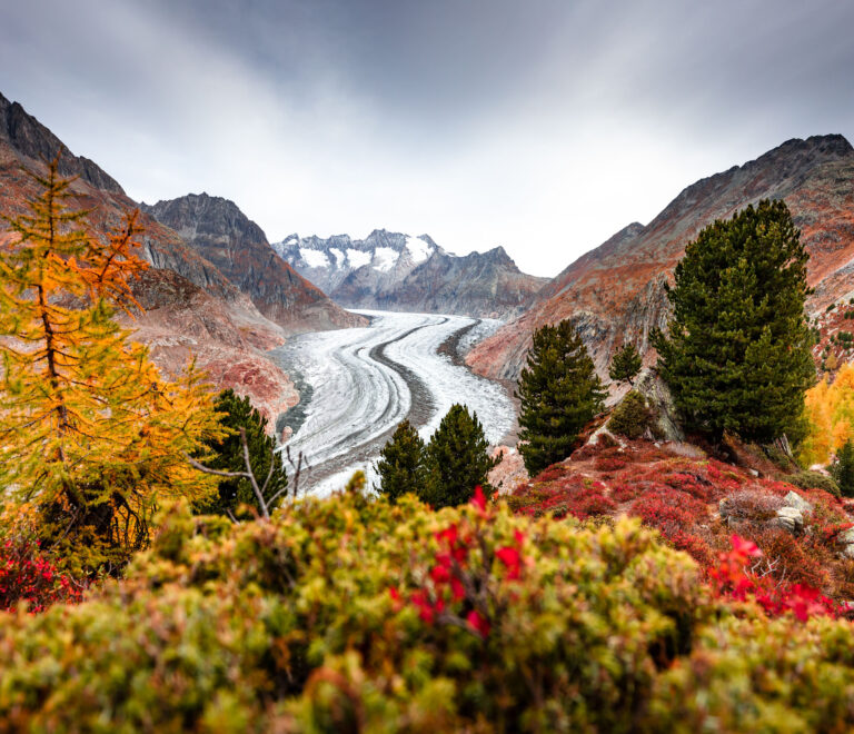 Foliage in Italia e Svizzera: itinerari autunnali mozzafiato tra montagne e laghi